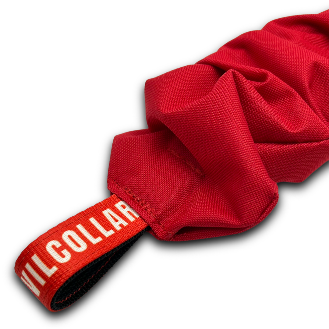 Molla ToW Big Dog EvilCollar