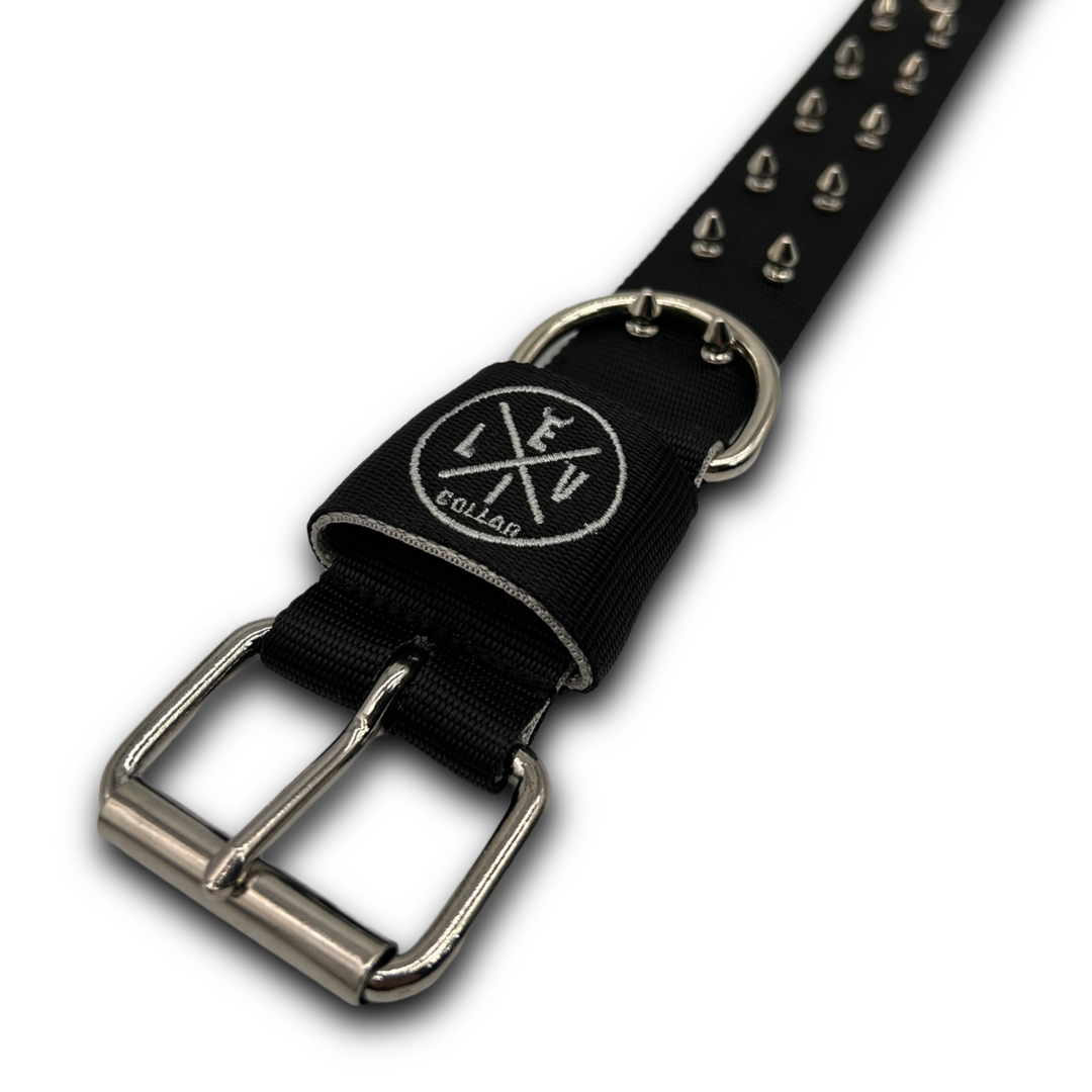 Collare con Borchie larghezza 5cm