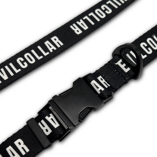 Chiusura e anello Cintura EvilCollar