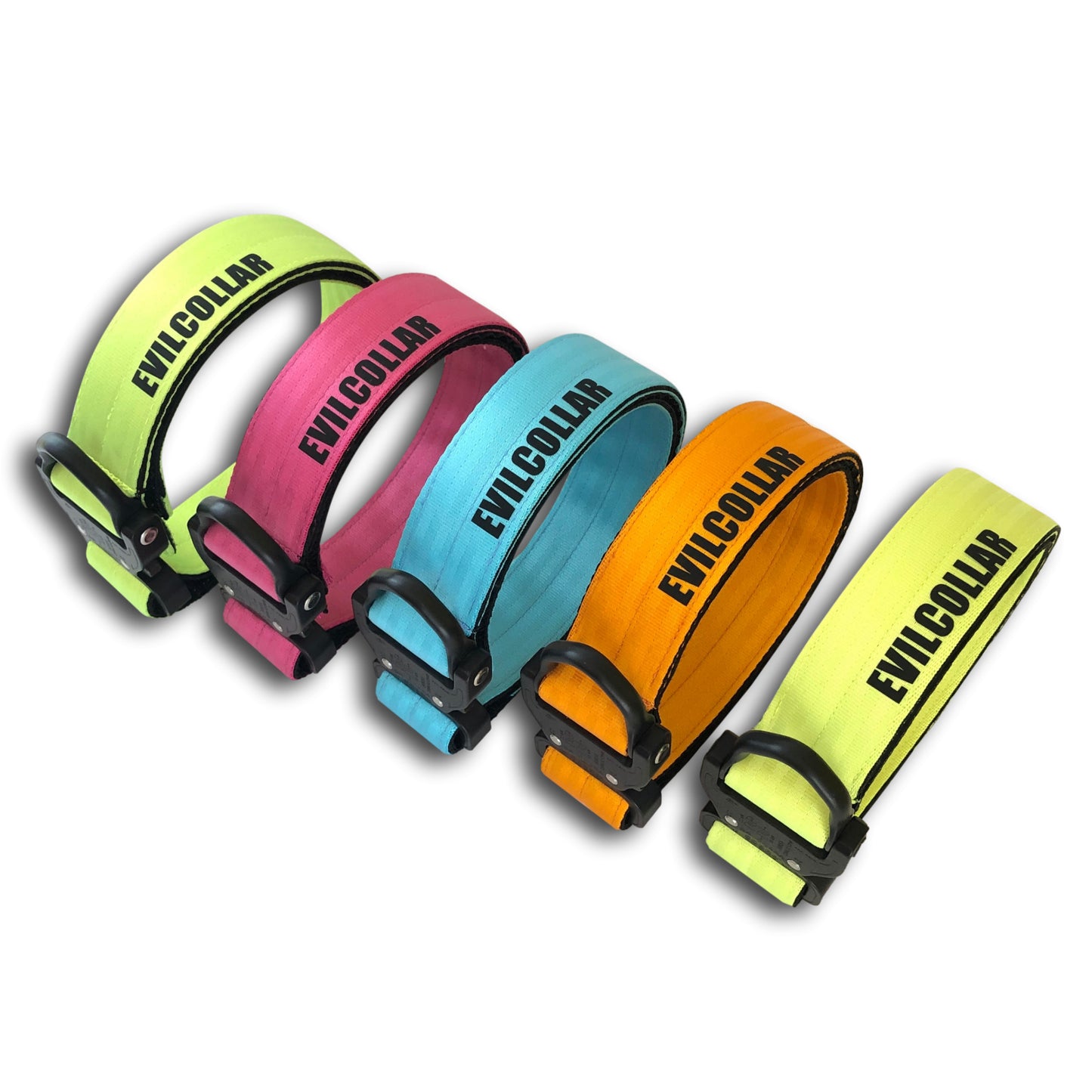 Collare M101 EC Neon