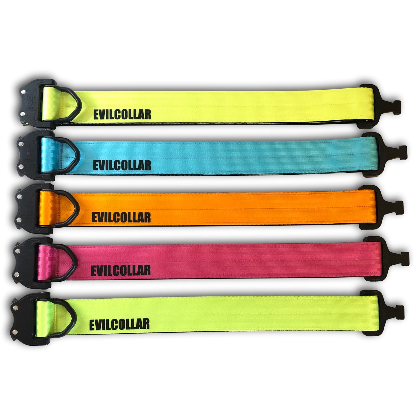 Collare M101 EC Fluo