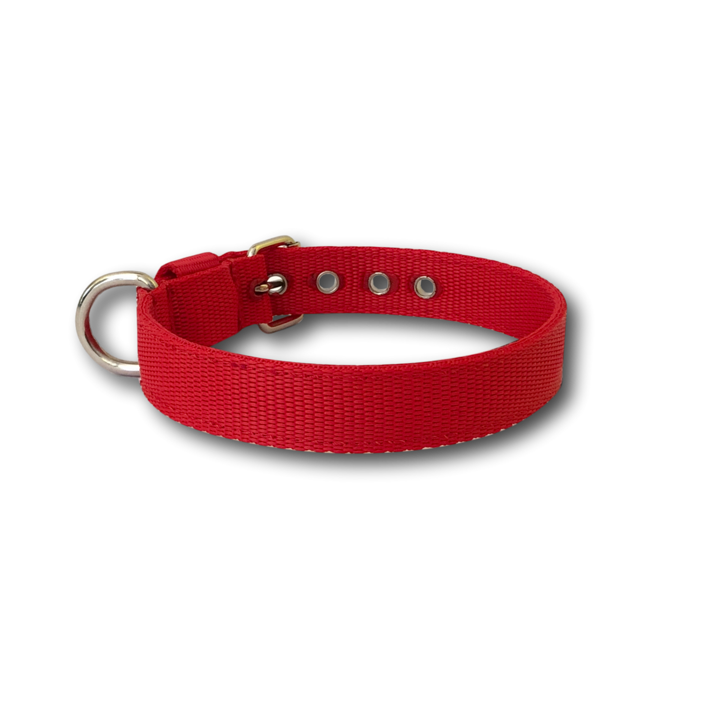 Collare Classic 2cm per Cani piccola taglia