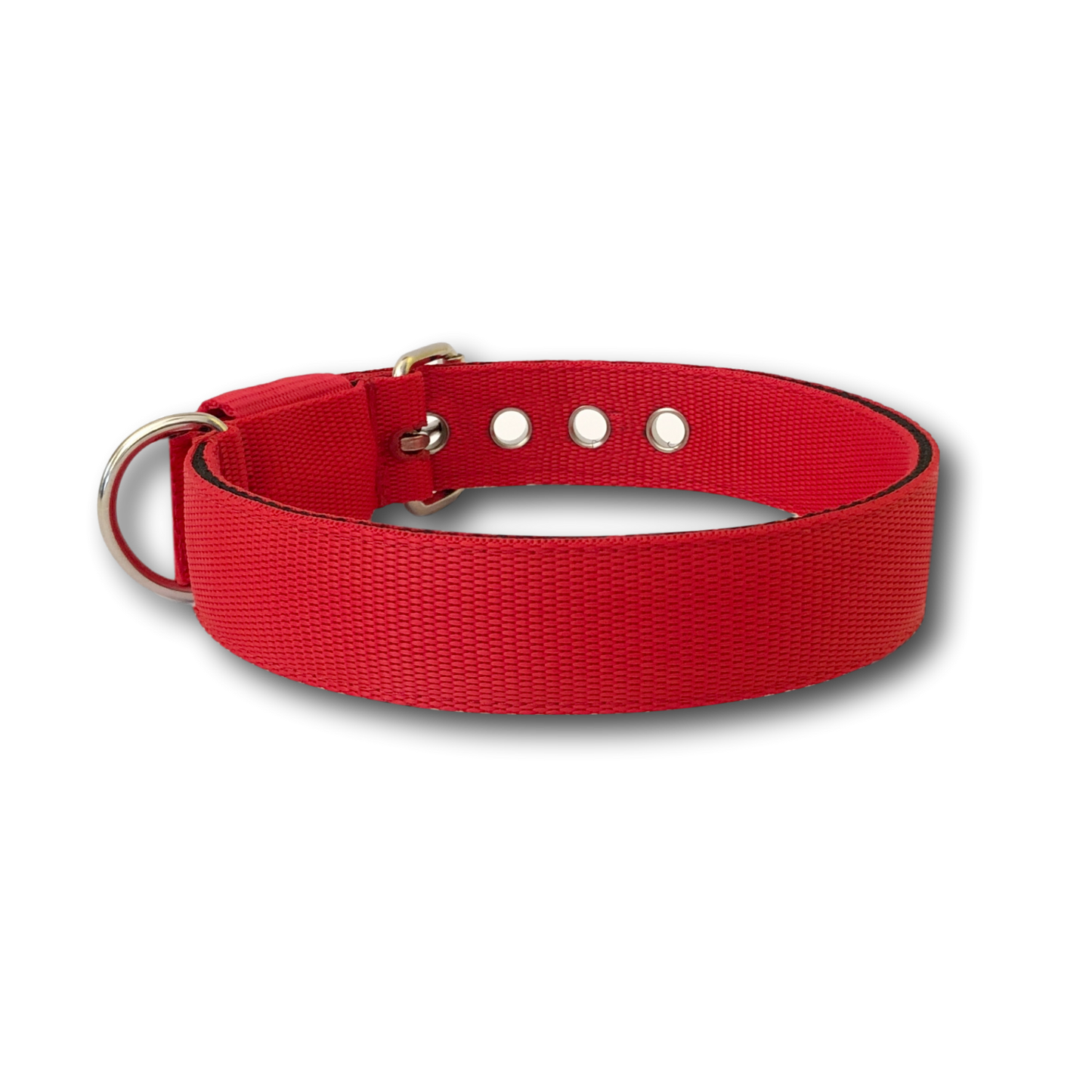 Collare Classic 3cm per Cani taglia media