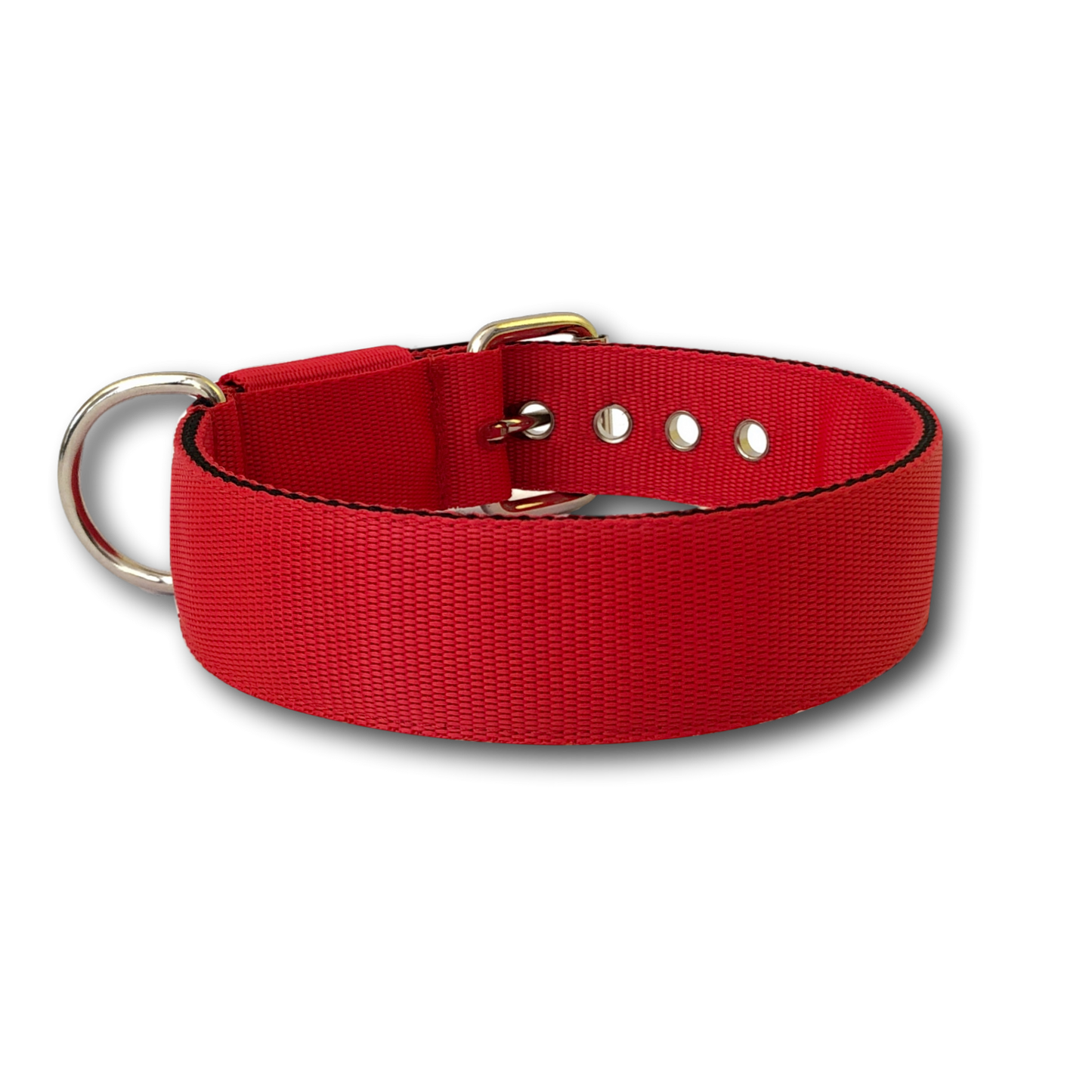 Collare Classic 4cm per Cani taglia medio - grande