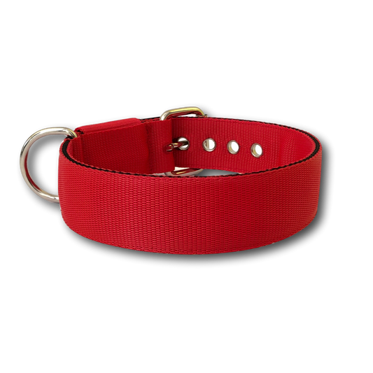 Collare Classic 4cm per Cani taglia medio - grande