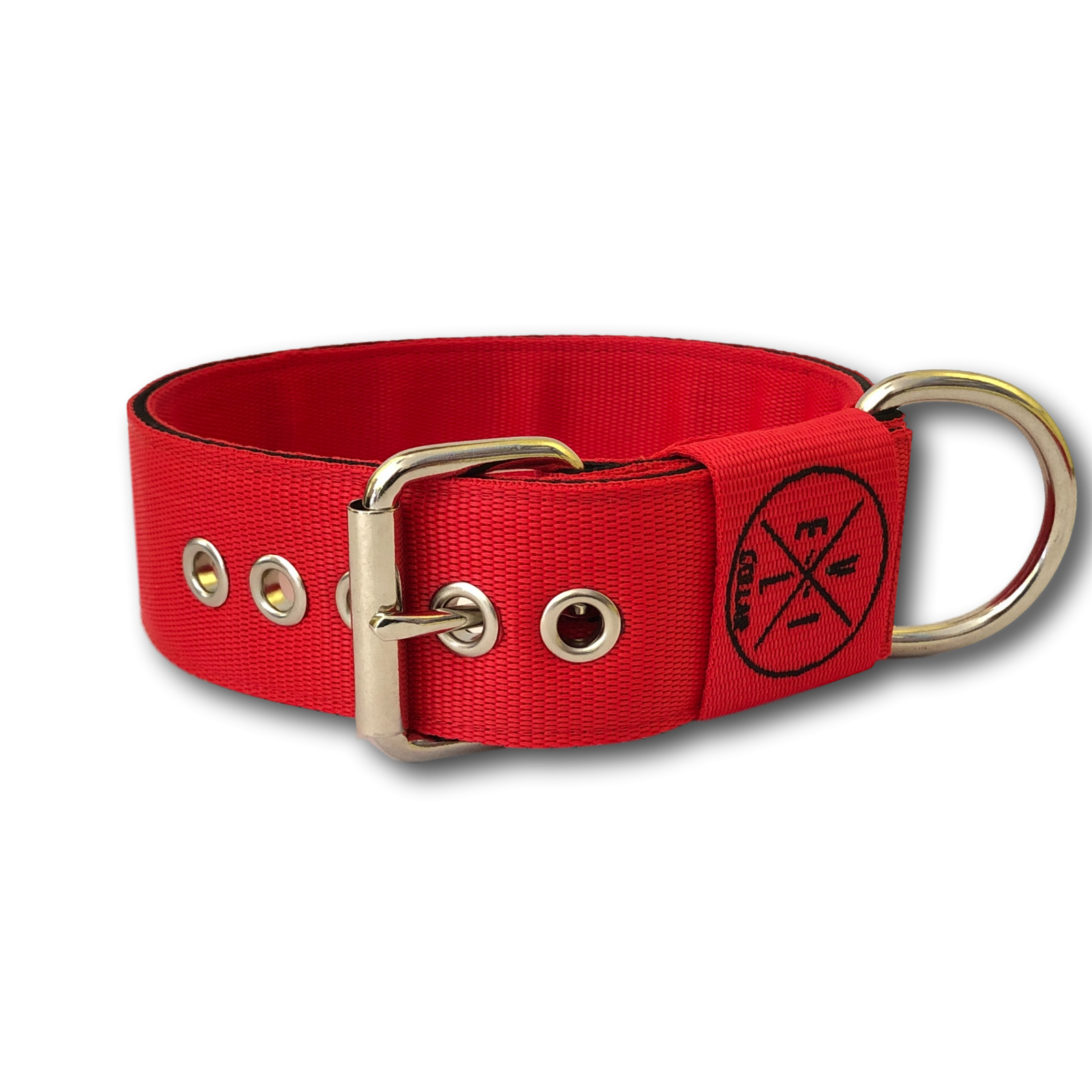 Liverpool 2024 dog harness