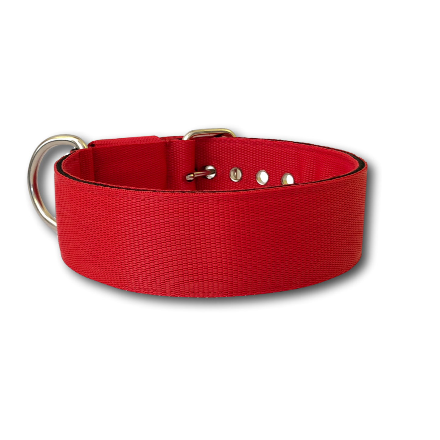 Collare Classic 5cm per Cani taglia grande