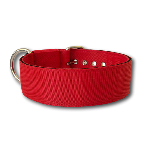 Collare Classic 5cm per Cani taglia grande