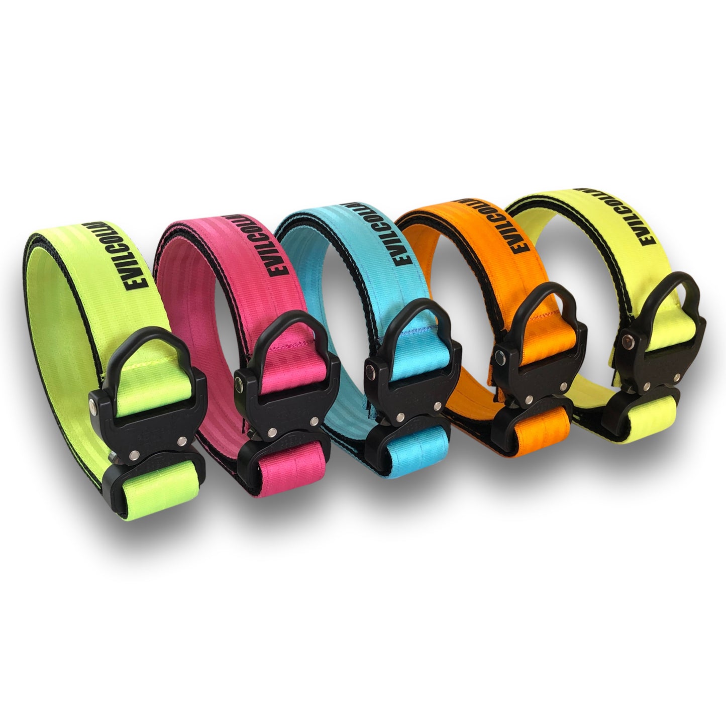 Collare M101 EC