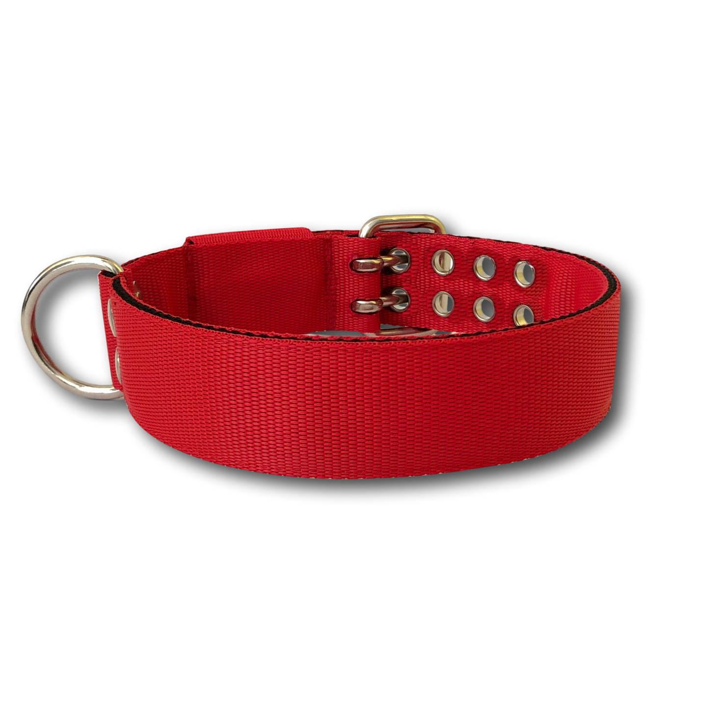 Collare Pit Bull 4cm Nylon