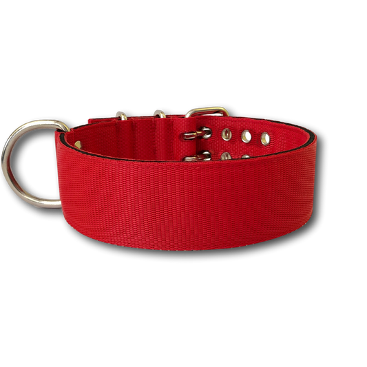 Collare Viper 5cm Amstaff