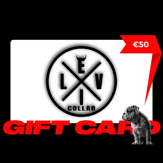 Carta Regalo EvilCollar €50