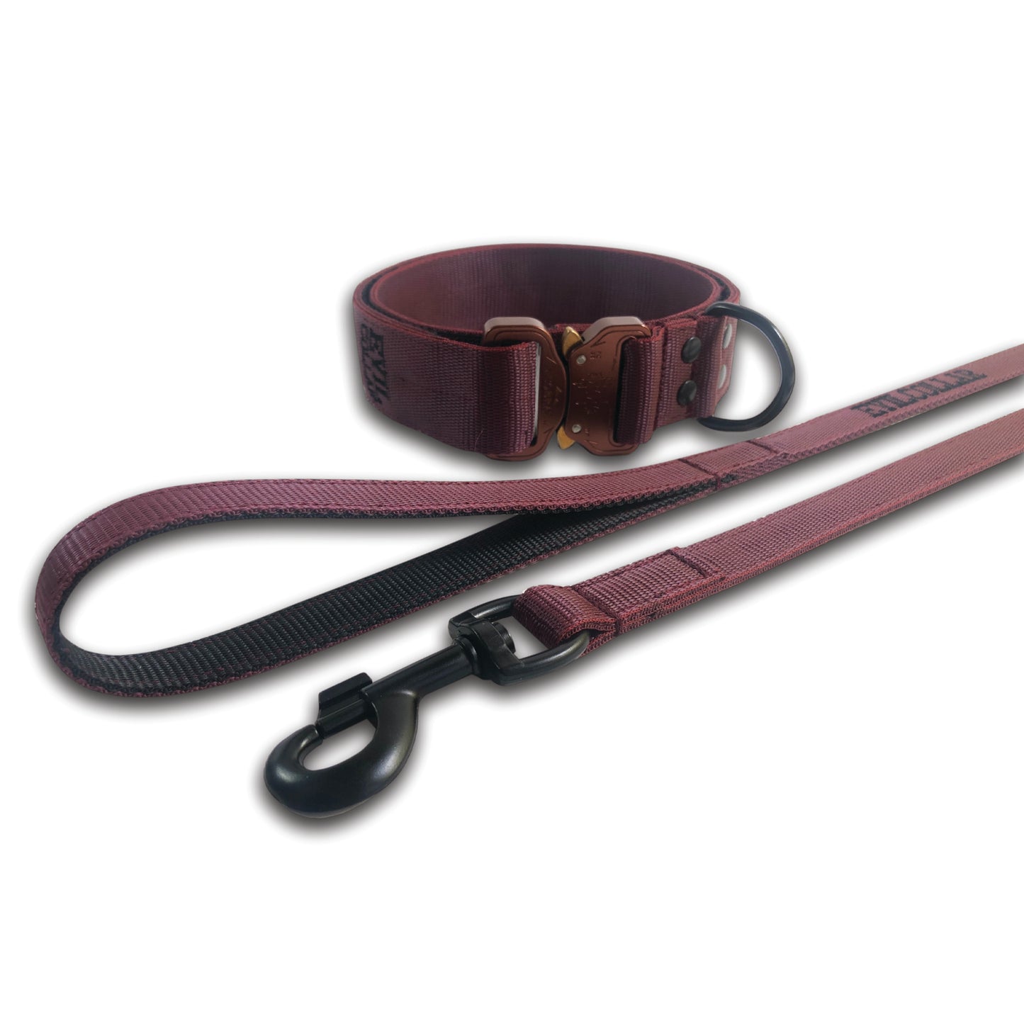 Set Collare e Guinzaglio M101 Witch