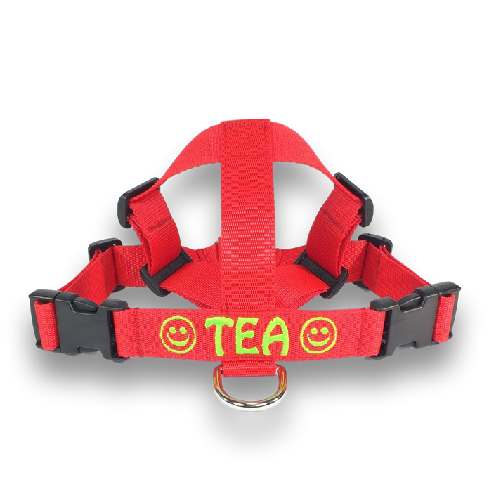 Pettorina Cane No-Pull - Taglia L, Regolabile, Riflettente, Per Cani Di Taglia Media/Grande - Foto 11