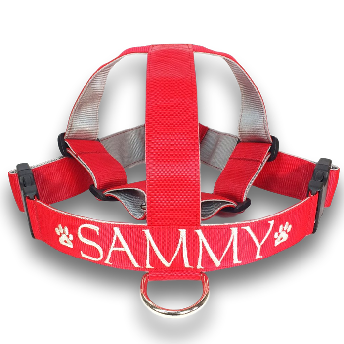 Personalized harness for large dogs - Main Image