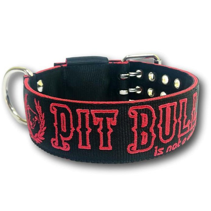 Collare 5cm PitBull is not a Crime 2020
