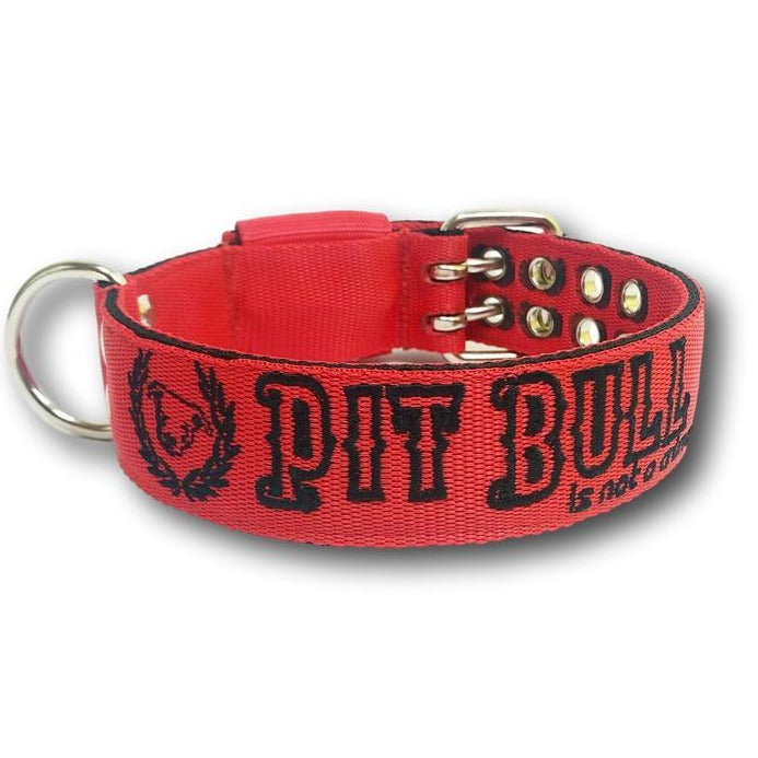 Collare 4cm PitBull is not a Crime 2020