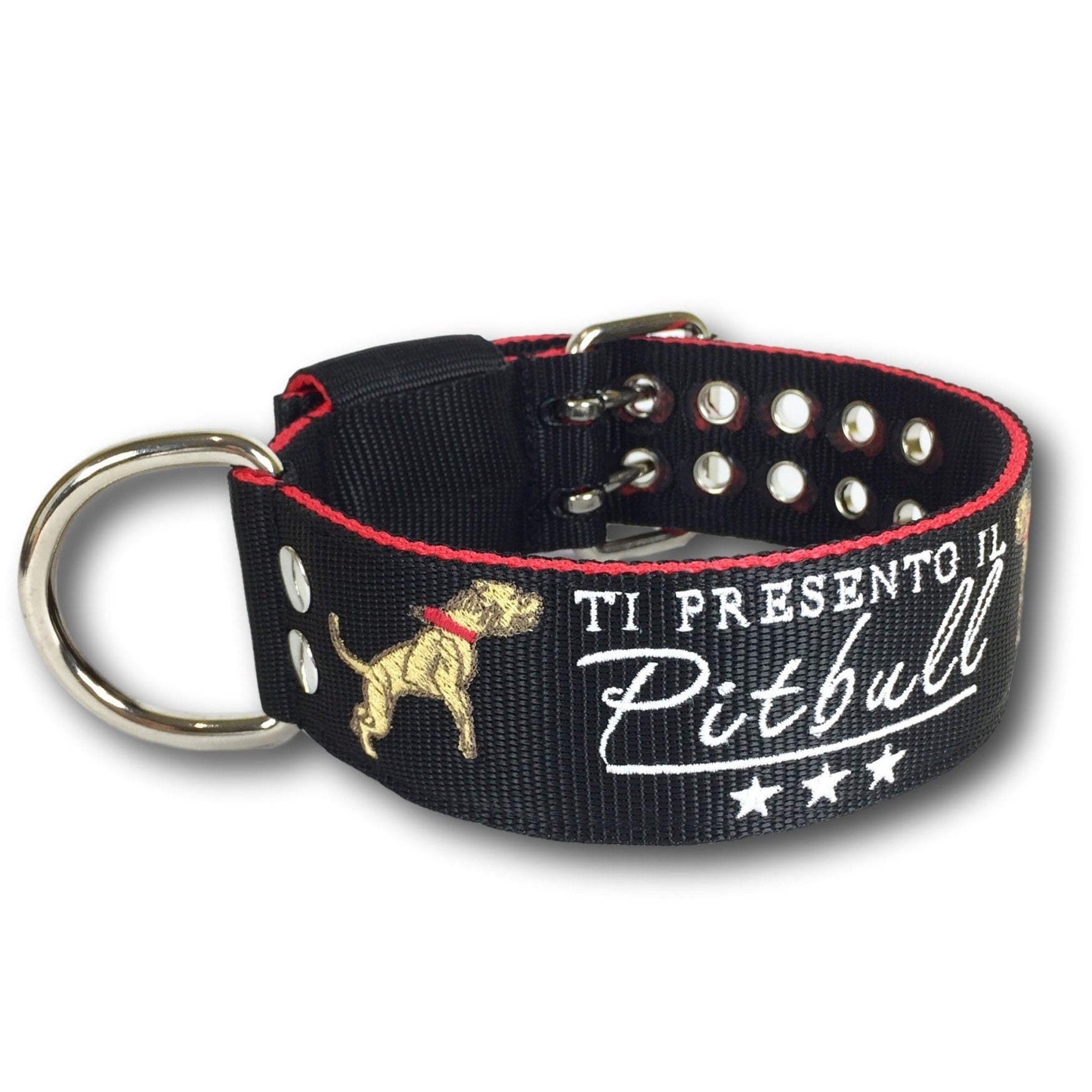 Collar Meet the Pit Bull - Main Image