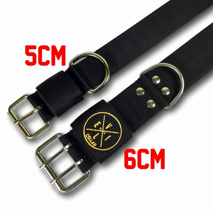 6cm Dog Collar