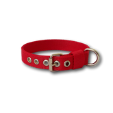 Collare Classic 2cm
