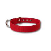 Collare Classic 2cm per Cani piccola taglia