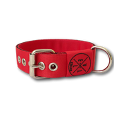 Collare Classic 4cm