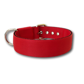 Collare Classic 4cm per Cani taglia medio - grande
