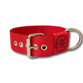 Collare Classic 5cm