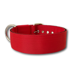 Collare Classic 5cm per Cani taglia grande