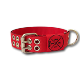 Collare Pit Bull 4cm
