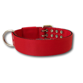 Collare Pit Bull 4cm Nylon