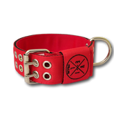Collare Pit Bull 5cm