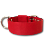 Collare Pitbull 5cm