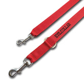Guinzaglio Addestramento EvilCollar