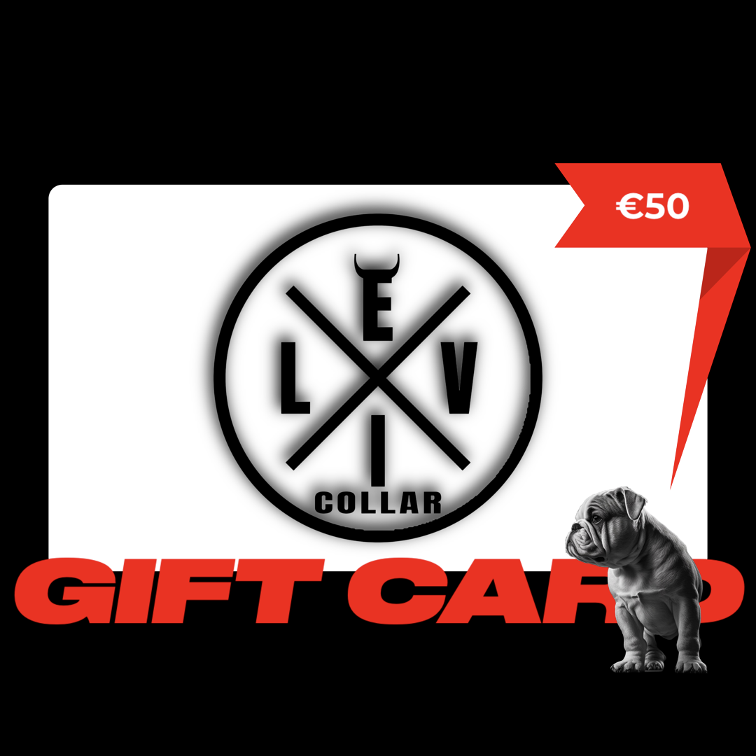 Carta Regalo EvilCollar €50