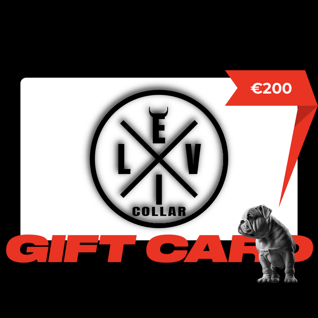 Carta Regalo EvilCollar €200